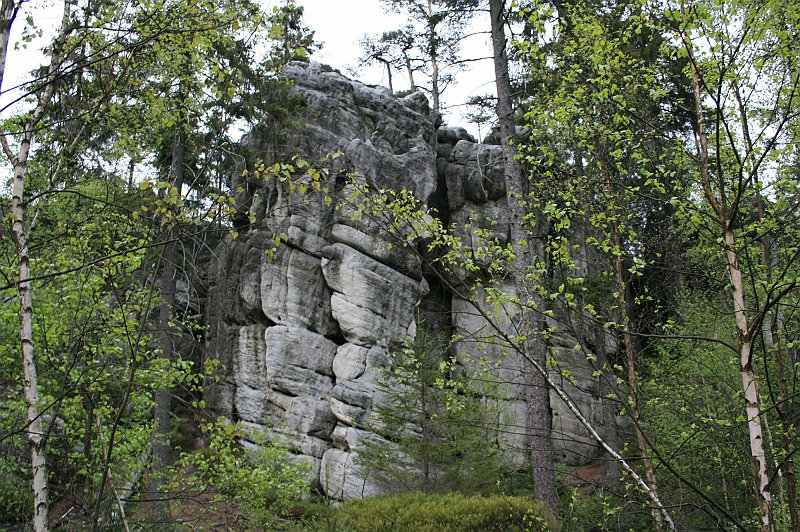 Original image